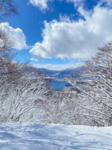 雪枝越しの青い湖