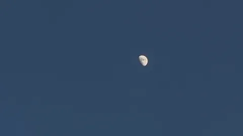 昼間の月、静かに浮かぶ