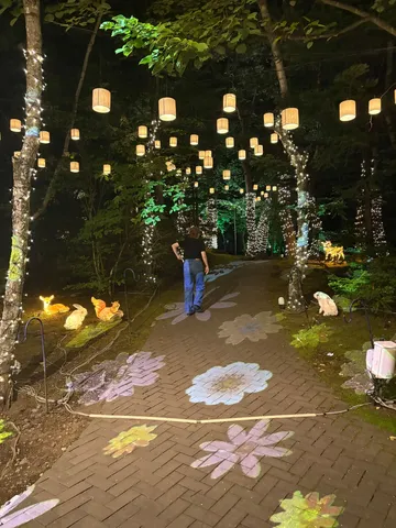 光と花が誘う夜の小道
