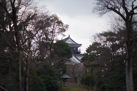 森を抜ける城影の気配