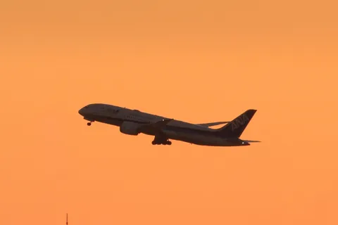夕焼けを駆ける飛行機の影