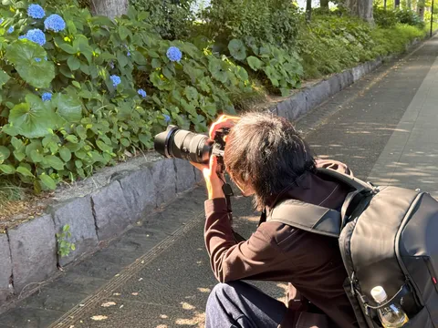 アジサイに夢中なカメラマン