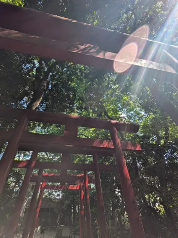 鳥居を抜ける光の道