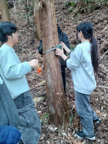 森の探検隊、自然の記録