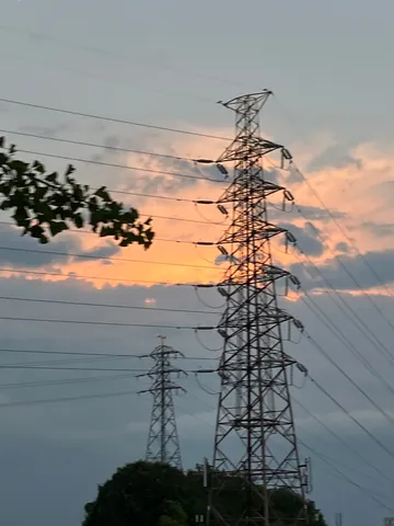 夕暮れの電線影絵