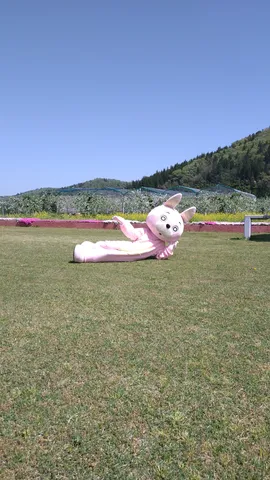 ピンクのウサギが芝生でくつろぐ