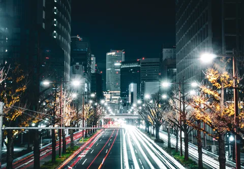 光跡の並木道