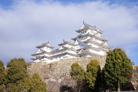 石垣にそびえる優美な姿