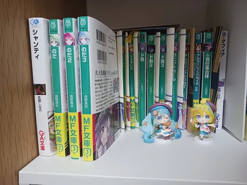 物語が詰まった本棚の日常