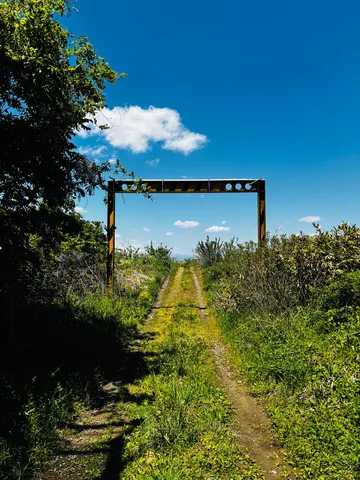 緑に包まれた道、空への誘い