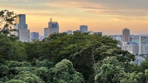 緑と都市のコントラスト、夕暮れの街並み