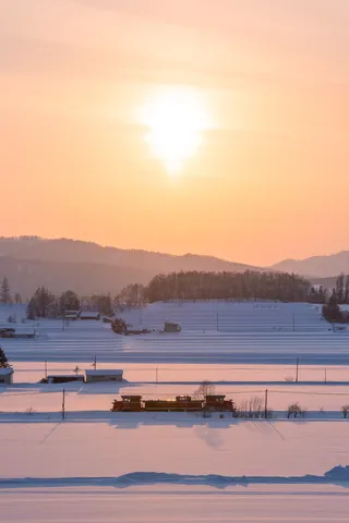 陽だまりの雪国トレイン
