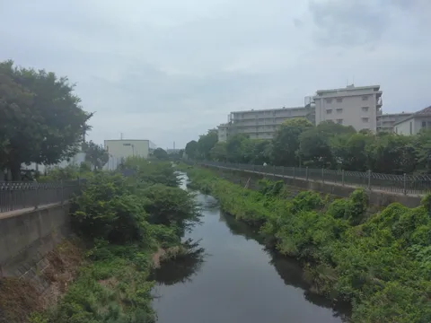 都会のオアシス、静かな水辺
