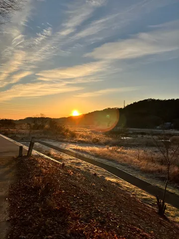 霜が降りた早朝の道