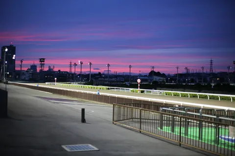 夜明け前のレースコース