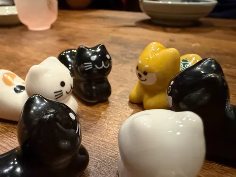 猫たちが集う、木漏れ日の食卓