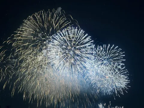 煌めく夜空の花火