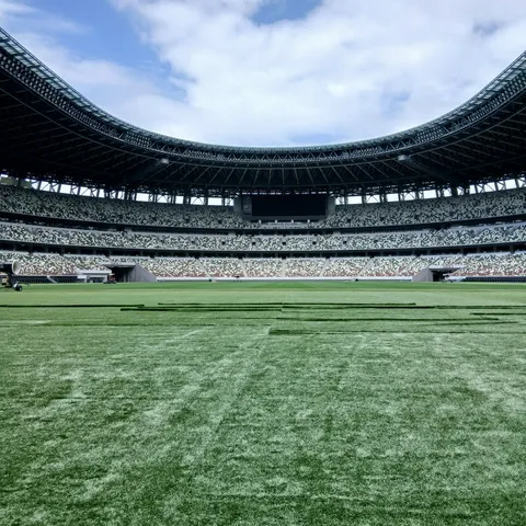 スタジアムの緑と空