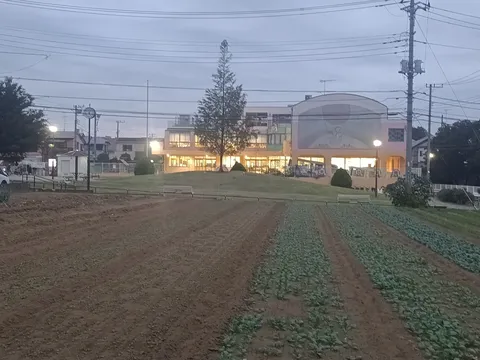 夕暮れの畑と灯る建物