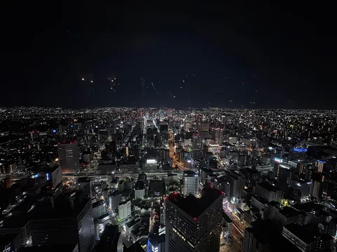 眠らない街の光の絨毯