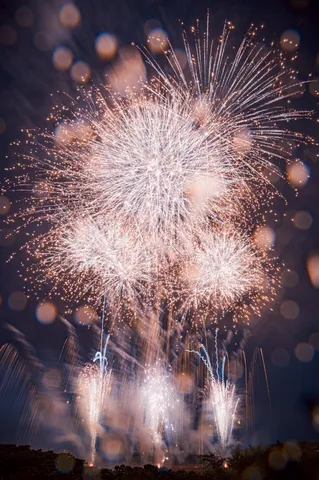 夜空を埋め尽くす光のシャワー