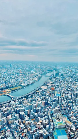 見下ろす都市、続く青の景
