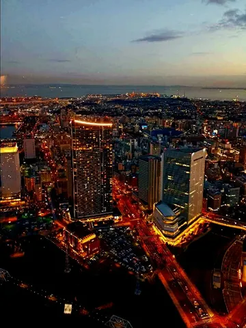 都会の夜景、光の海に沈む