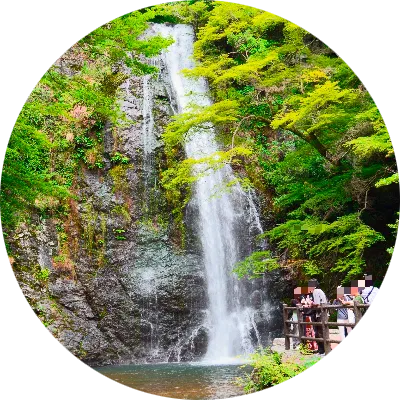 緑滴る、滝壺の涼風