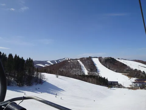 リフトから眺める雪景色