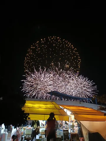夜空を彩る華やかな光の饗宴