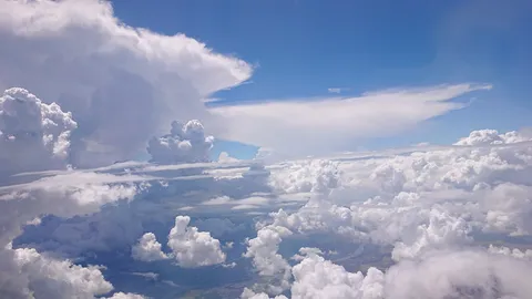 大空のふわりとした瞬間