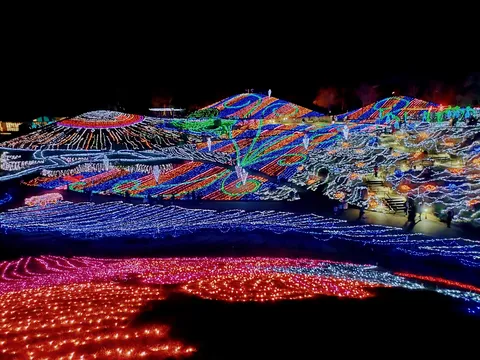 光が織りなす夜の神经网络