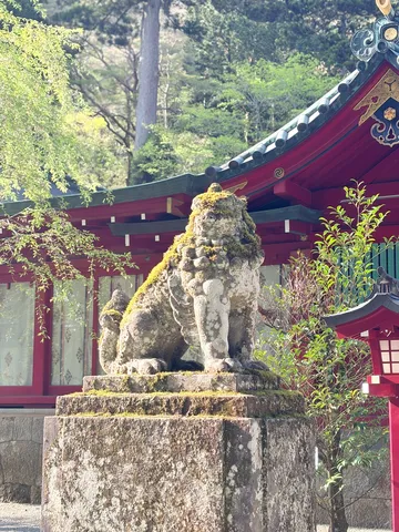 苔むす狛犬、時を待つ