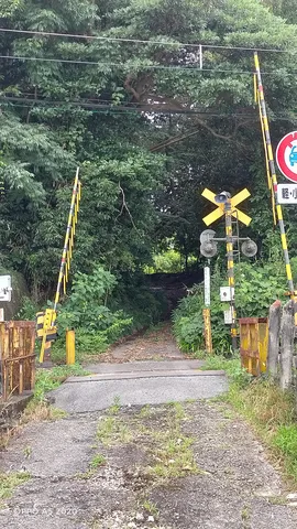 警告！踏切と緑のコントラスト