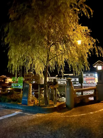 夜に佇む柳、街灯の光