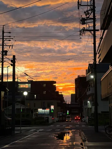 夕暮れの街に揺れる光