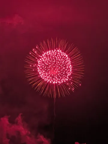 夜空を彩る、真紅の華
