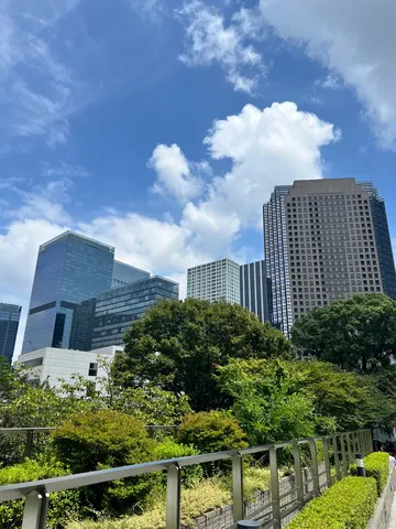 都会の緑と青空のコントラスト