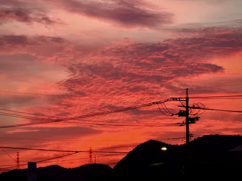 燃える空と電線のシルエット