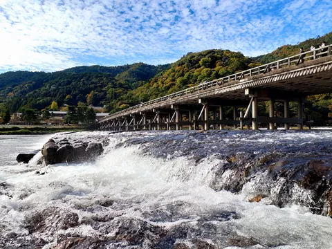 自然と橋、水面の躍動