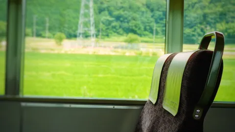 旅愁、窓越しの緑