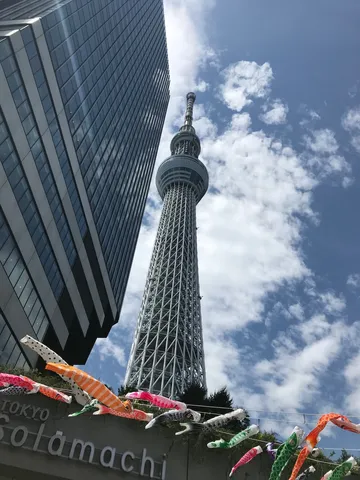 空に負けじと舞う鯉のぼりとタワー