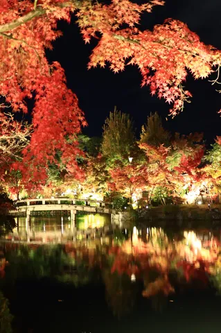 灯る紅葉と静寂の水面
