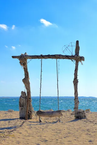 映えを狙う流木ブランコ