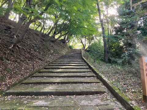 緑に包まれる苔むした石段