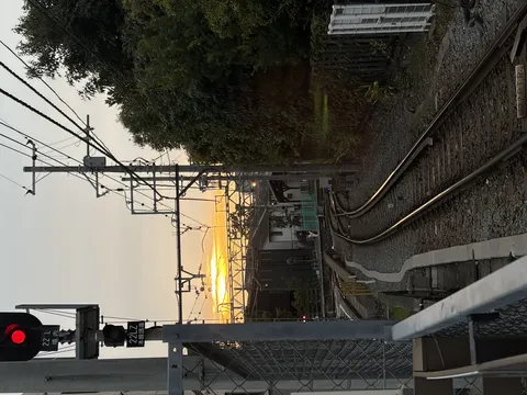 黄金色の空が映る線路