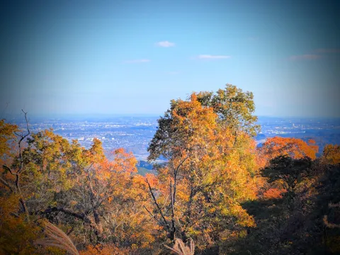 秋色の山と街の息吹
