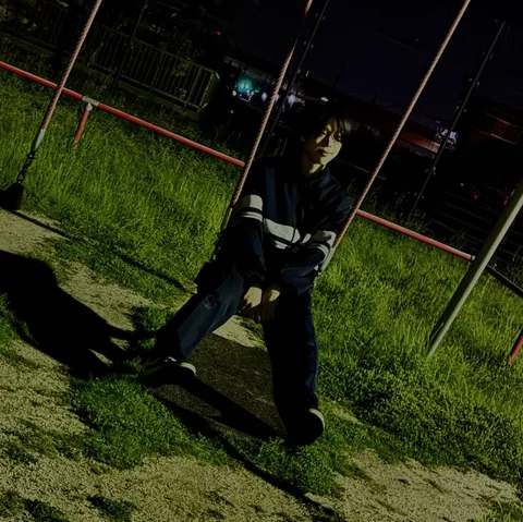 揺れる影と夜の公園