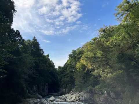 清流と緑の静かな峡谷