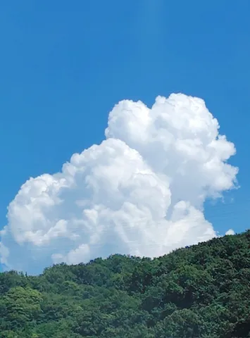 夏の空、湧き立つ雲